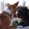 sandra helbert - @sandra.helbert5 - TikTok