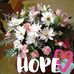Sandy Ellenburg - Facebook