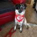Sandra Ellsworth - Facebook
