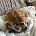 Sandra Elrod - Facebook