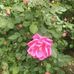 Sandra Elrod - Facebook