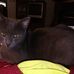 Sandra Elrod - Facebook