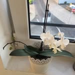 Sandra Elsner - @elsner815 - Instagram