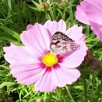 Sandra Emms - Facebook