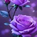 Sandra Encalada - Facebook