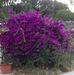 Sandra Enderle - Facebook