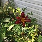 Sandra Edenfield - @edenfieldsandra - Instagram