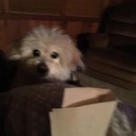 Sandra Engberg - @engberg.sandra - Instagram