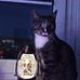 Sandra Engel - Facebook