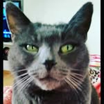 sandra Engels - @sandraengels - Instagram