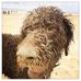 Sandra Engels - Facebook