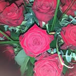 Sandra Engels - @engelchen_ms - Instagram