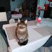 Sandra Engels - Facebook