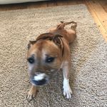Sandra Entwistle - @sandra.entwistle - Instagram