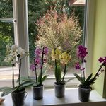 Sandra Entwistle - @entwistl.sandy - Instagram