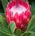 Sandra Erasmus - Facebook