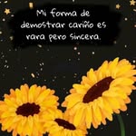 Sandra Erazo - @sandra.erazo.98892 - Instagram