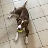 Sandra Erdman - @sandraerdman - TikTok