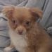Sandra Ervin - Facebook