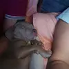 Sandra escofe - @sandra.escofe - TikTok