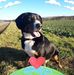 Sandra Eßlinger - Facebook