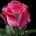 Sandra Esquer - Facebook