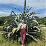 Sandra Häfner - Facebook