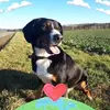 Sandra Eßlinger - @sandra.elinger - TikTok