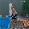 Sandra Esteban - @sandra.esteban878 - TikTok