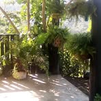 Sandra Esteban - Facebook