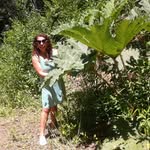 Sandra Ester Lagos Cardenas - @sandraesterlagoscardenas - Instagram