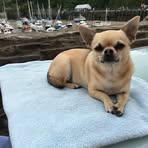 Sandra Etherington - Facebook