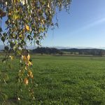 Sandra Etter - @sandra_etterstalder - Instagram