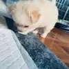 SandraAltenetter - @sandraaltenetter7522 - TikTok
