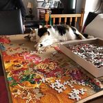 Sandra Eustace - @sandra.eustace.56 - Instagram