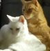 Sandra Eveleigh - Facebook
