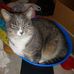 Sandra Evers - Facebook