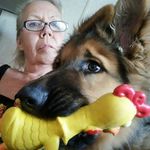 Sandra Evers - @sandra.evers.37 - Instagram