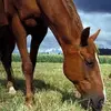 sandraevers8 - @sandraevers8 - TikTok