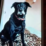 Sandra Everson - @everss47 - Instagram