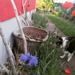 Sandra Exner - @sandrakantel - Instagram