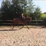 Sandra Fabry - @sandra.fabry - Instagram