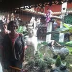 Sandra Faggion - @faggion.sandra - Instagram