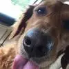 Sandra Fair - @sandrafair - TikTok