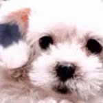 Sandra Falla - @sandrafalla1951 - Instagram