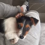 Sandra Fay - Facebook