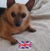 Sandra Fay - Facebook