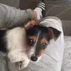 Sandra Fay - @sandra.fay8 - TikTok