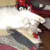 SANDRAFAY - @sandrawilgus - TikTok