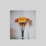 SandraFebriana - @sandrafee65 - Instagram